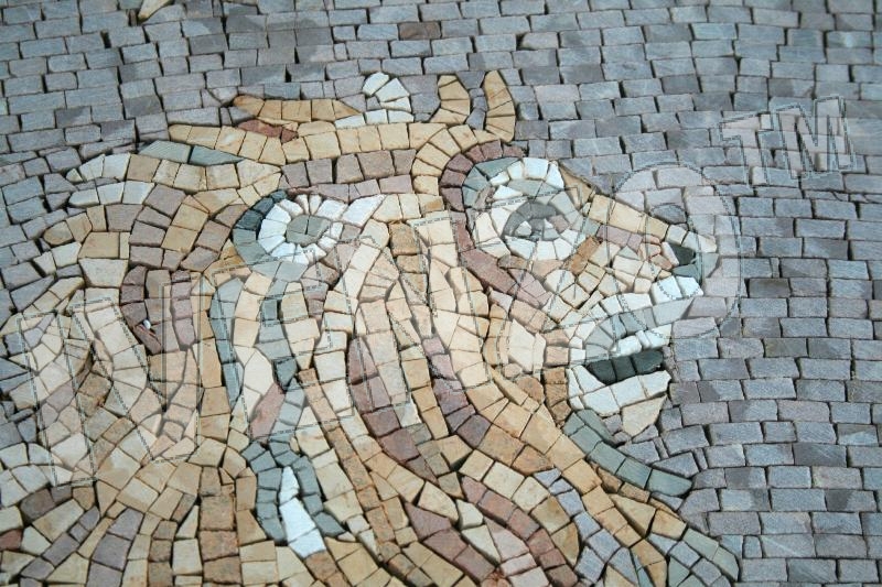 Mosaik FK011 Details Tierkreiszeichen Sternzeichen Lwe 1