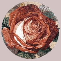 Mosaik Osiria-Rose