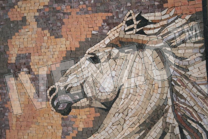 Mosaik AK026 Details Sich aufbäumendes Pferd 1