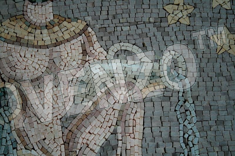 Mosaik FK017 Details Tierkreiszeichen Sternzeichen Wassermann 2