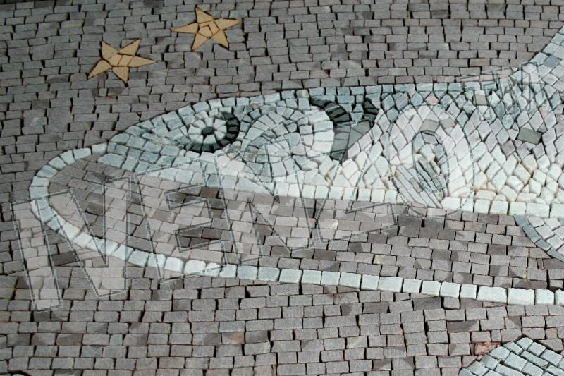 Mosaik FK018 Details Tierkreiszeichen Sternzeichen Fische 2