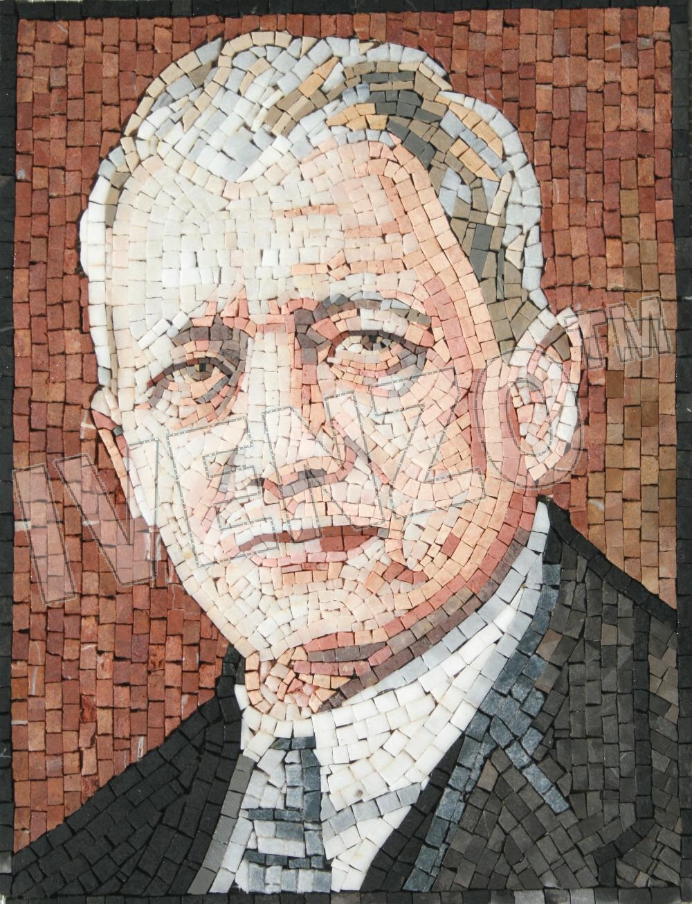 Mosaik FK074 Portrait Franz Oppenheimer