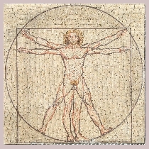 Mosaik Der vitruvianische Mensch